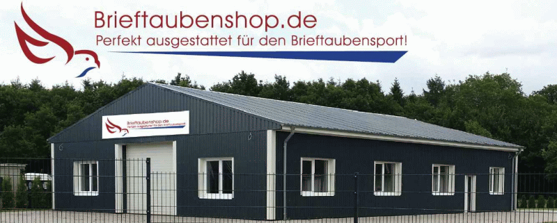 brieftaubenshop haus