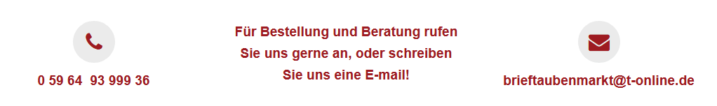 brieftaubenshop kontakt