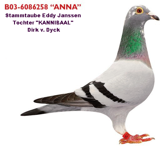 janssen eddy 2018 anna