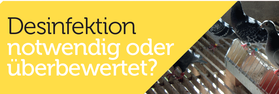 desinfektion