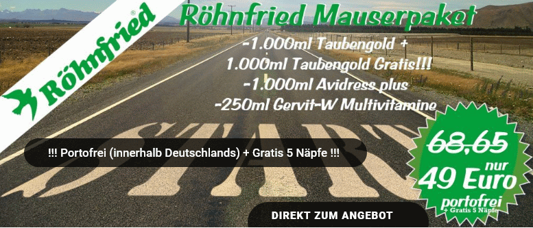 röhnfried sept 2018