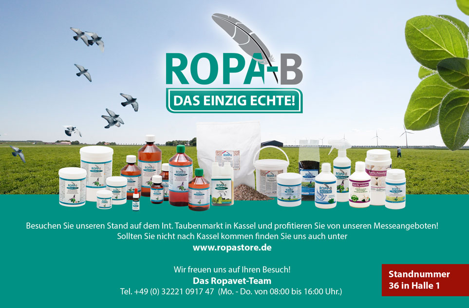 ropa sept 2018