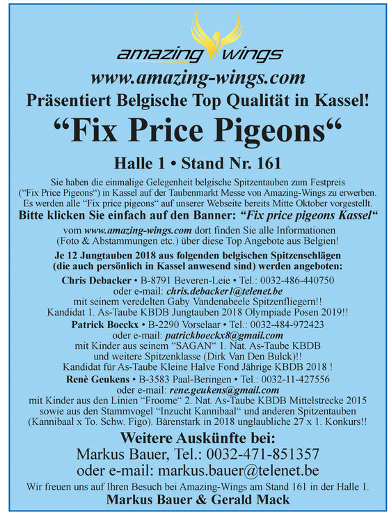 kassel 2018 amazing1
