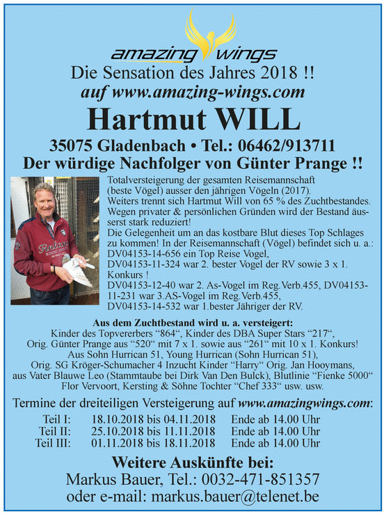 kassel 2018 amazing3