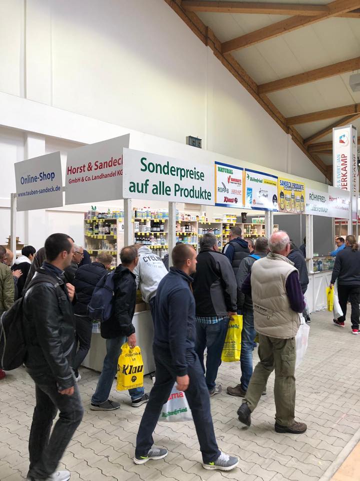 kassel 2018_12