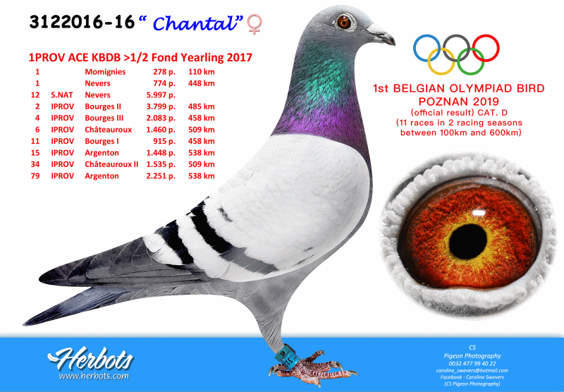 herbots chantal 2018