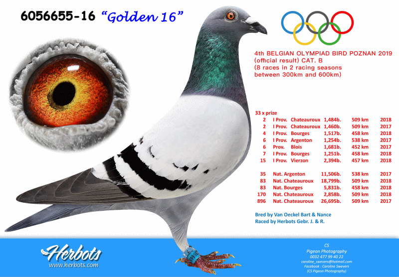 herbots golden 16 2018