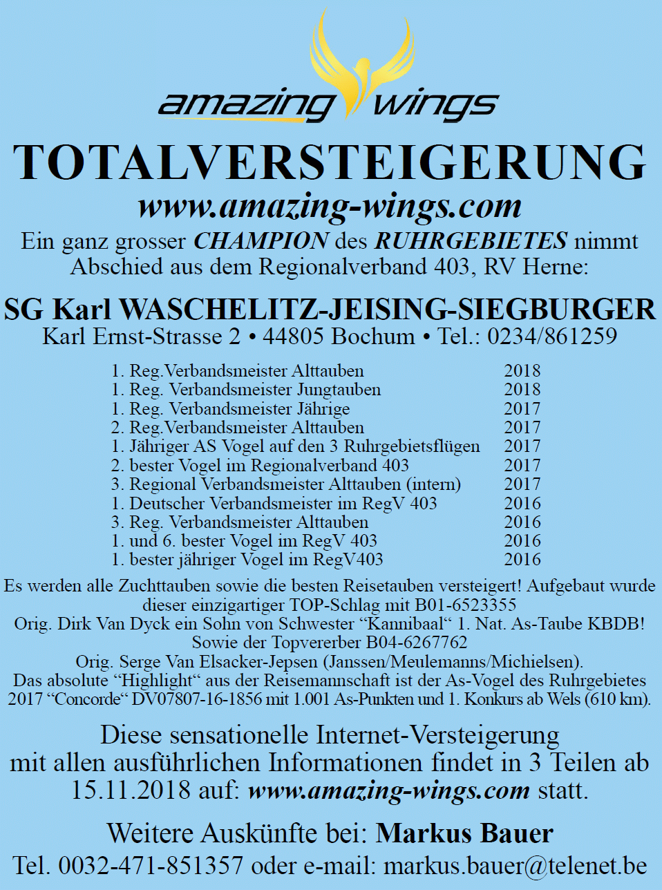 waschelitz amazing