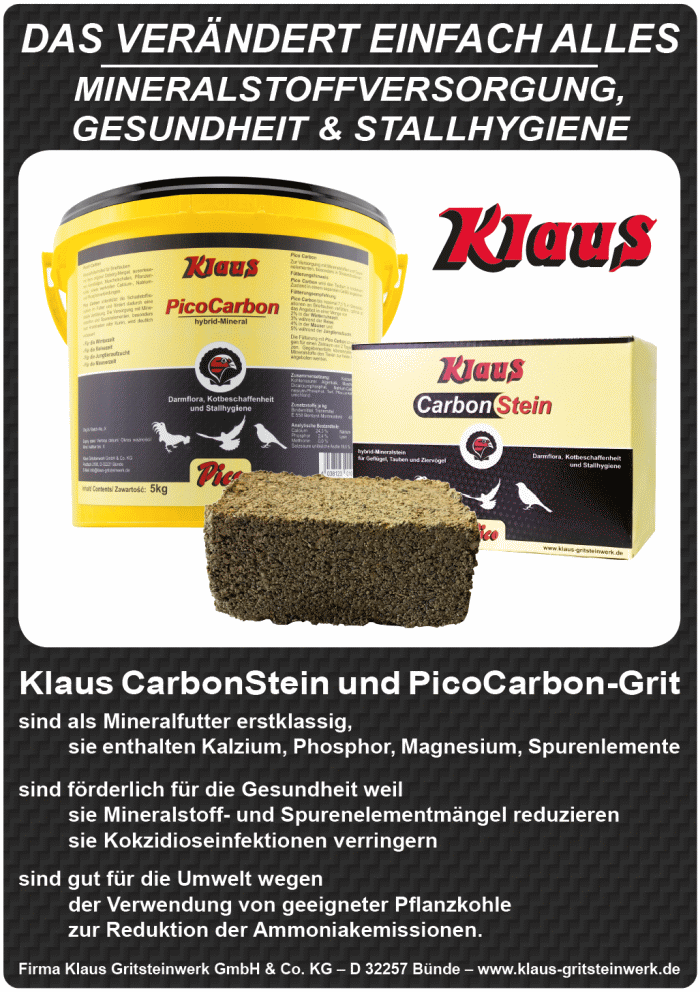dez 2018 klaus