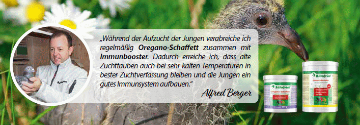 berger zucht 2019