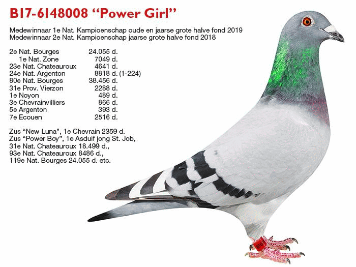 Dieses Bild hat ein leeres Alt-Attribut. Der Dateiname ist janssens-eddy-power-girl.gif