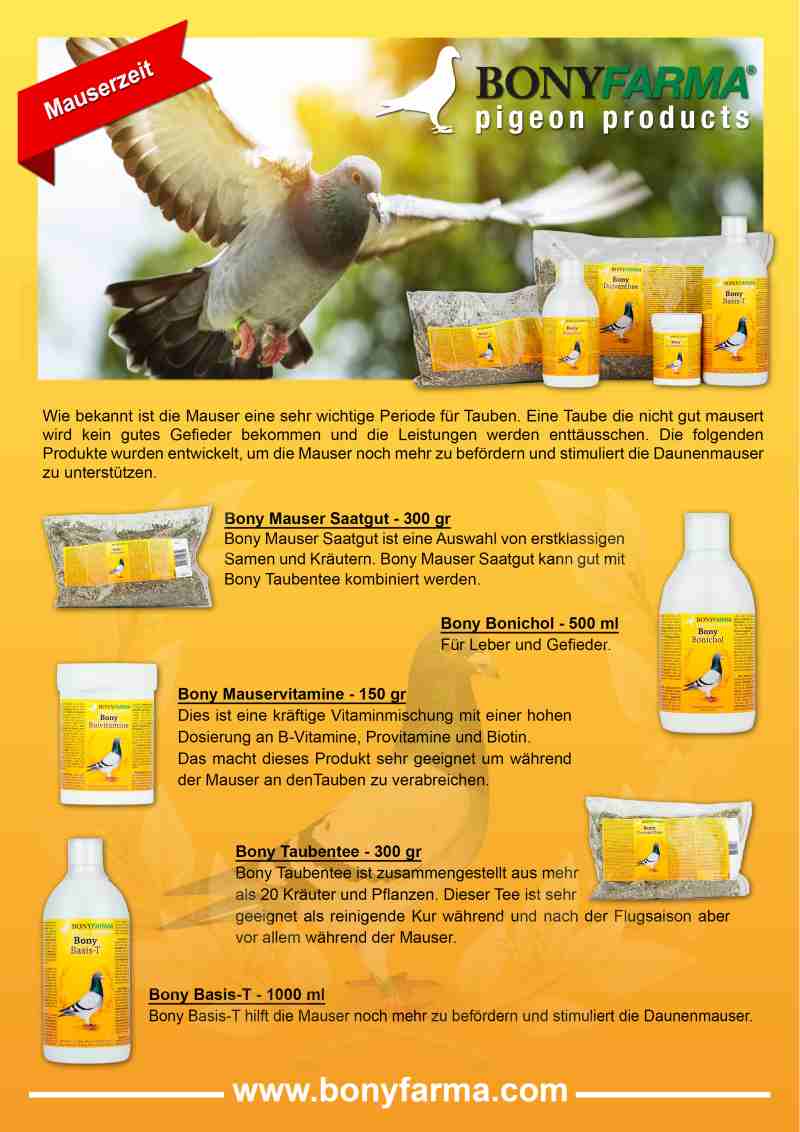 http://brieftauben-markt.info/wp-content/uploads/2021/09/boskamp-mauser-2021_1.jpg